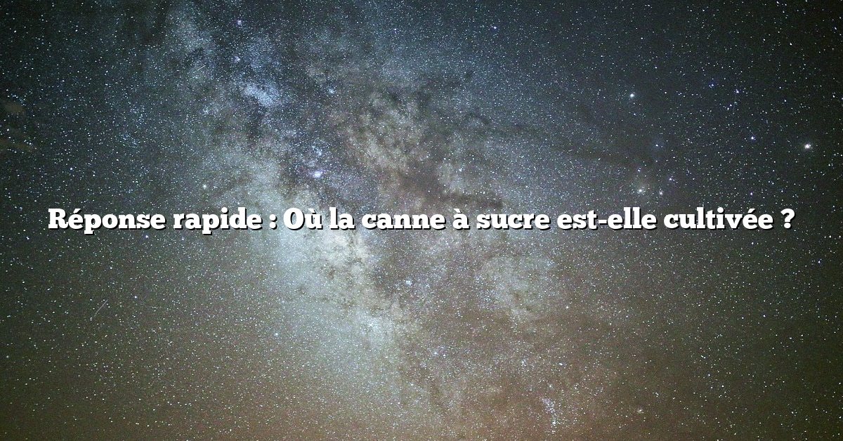 Réponse rapide : Où la canne à sucre est-elle cultivée ?